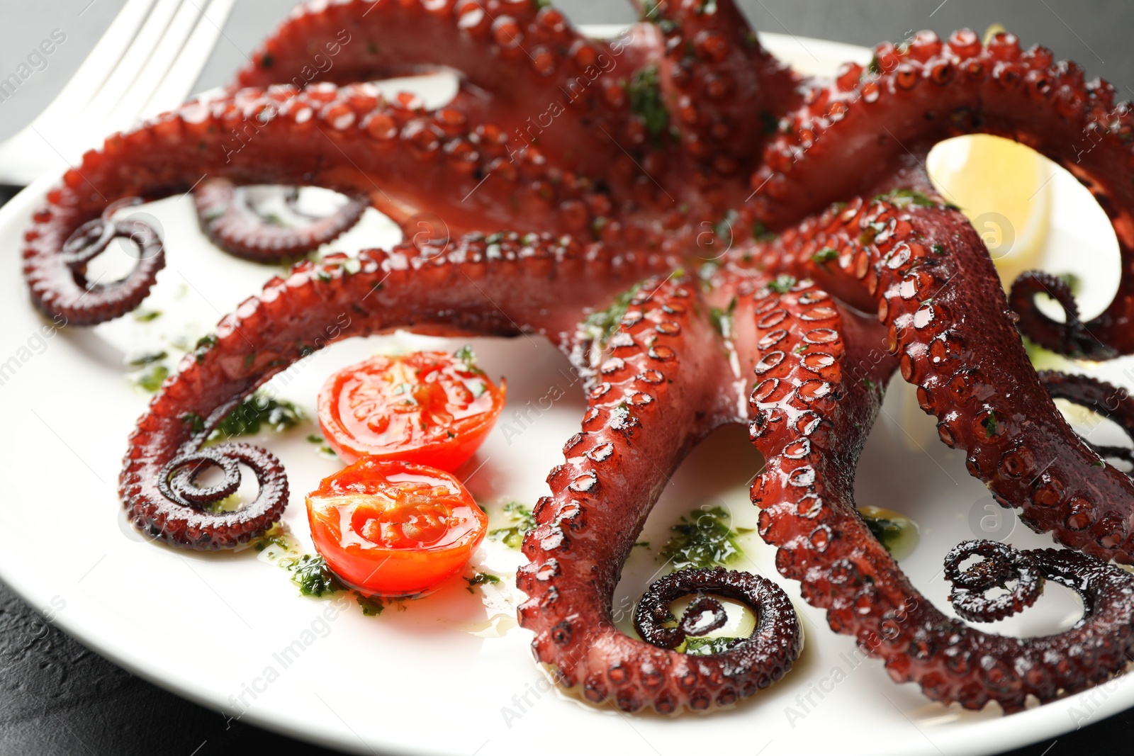 Photo of Fried octopus with herb sauce and tomatoes on dark textured table, closeup