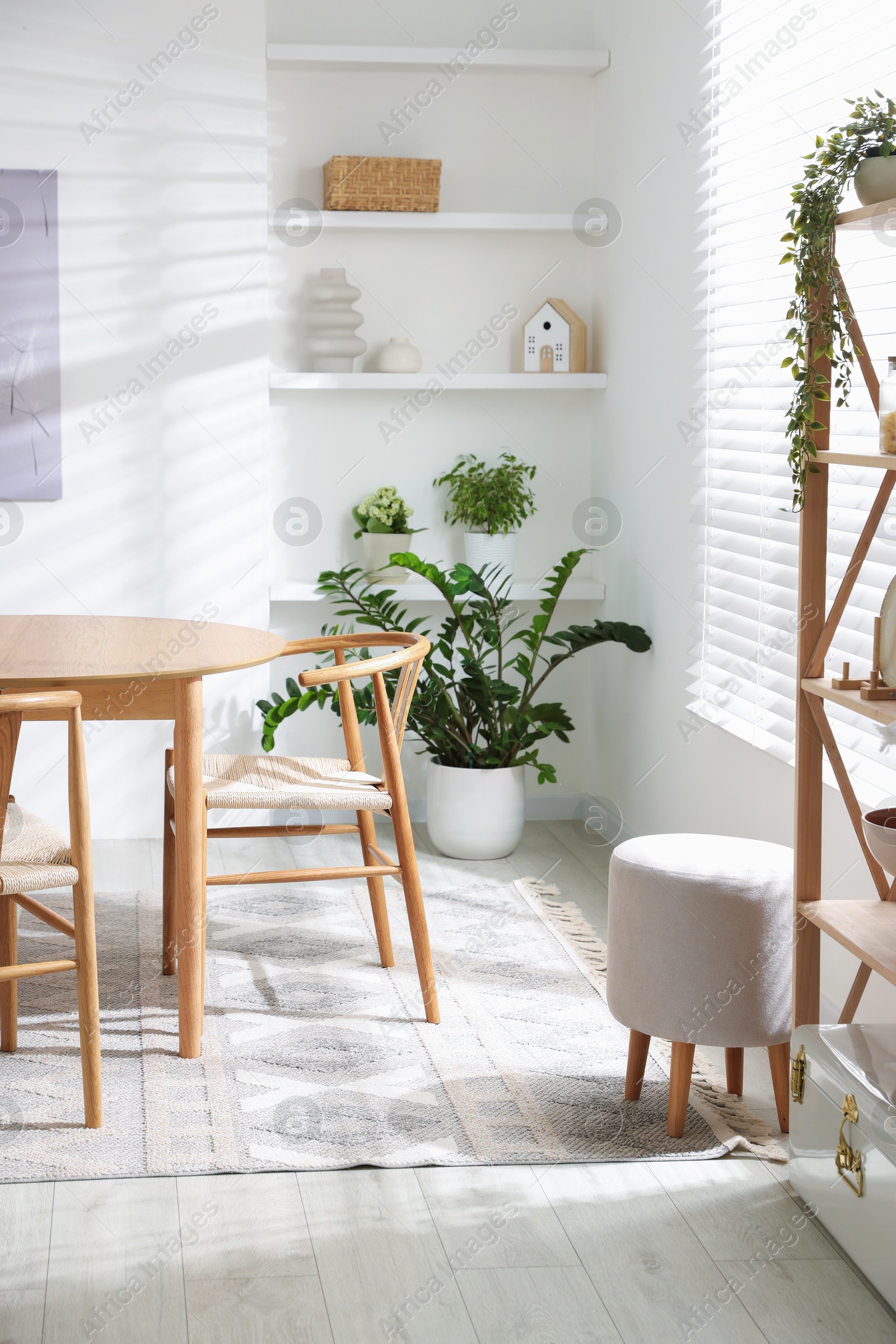 Photo of Stylish room with wooden table, chairs and houseplants. Interior design