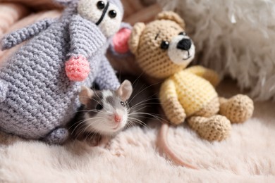 Photo of Adorable little rat and crocheted toys on faux fur