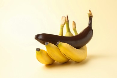 Photo of Stop racism. One dark banana and yellow ones on beige background