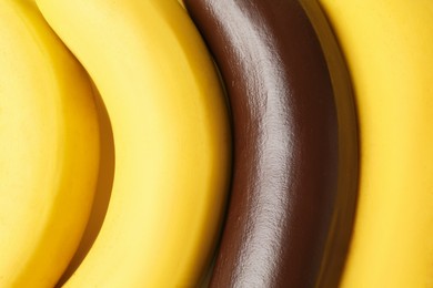 Photo of Stop racism. One dark banana among yellow ones as background, top view