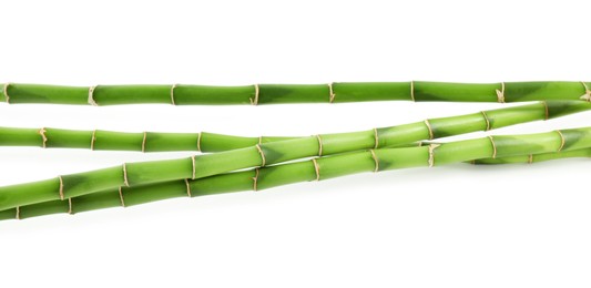 Photo of Decorative green bamboo stems isolated on white