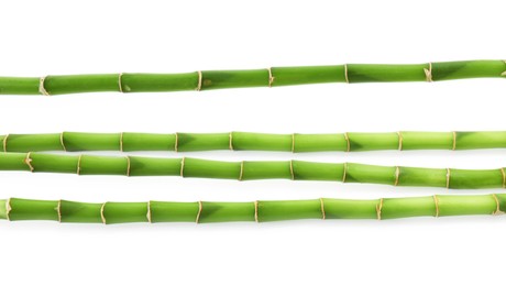 Photo of Decorative green bamboo stems isolated on white