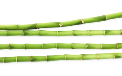 Photo of Decorative green bamboo stems isolated on white