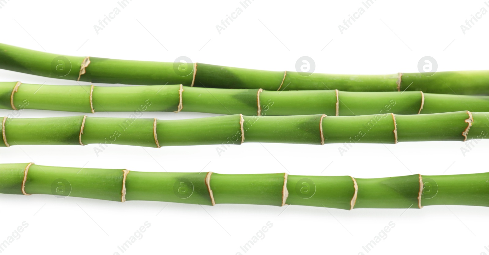 Photo of Decorative green bamboo stems isolated on white