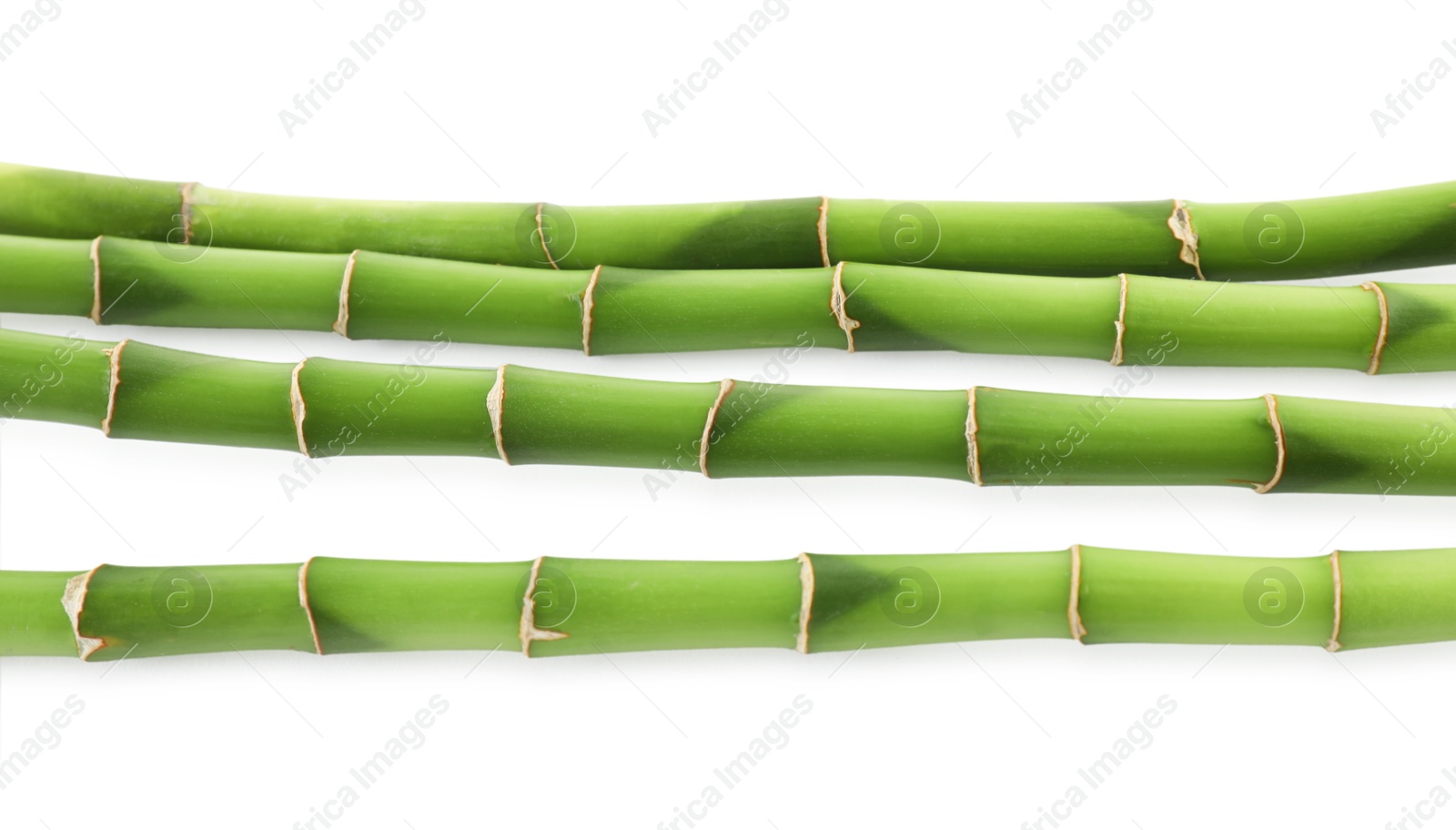 Photo of Decorative green bamboo stems isolated on white