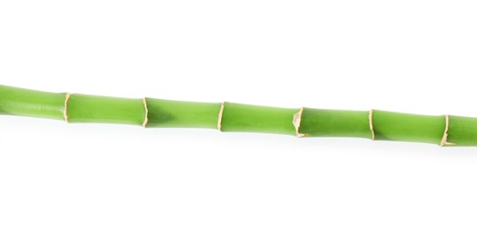 Photo of Decorative green bamboo stem isolated on white