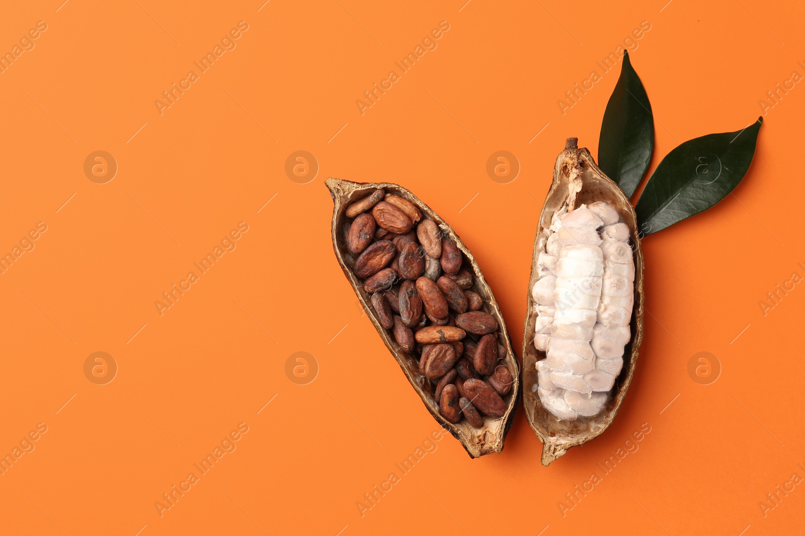 Cocoa pods with beans on orange background, top view. Space for text Photo of Cocoa pods with beans on orange background, top view. Space for text