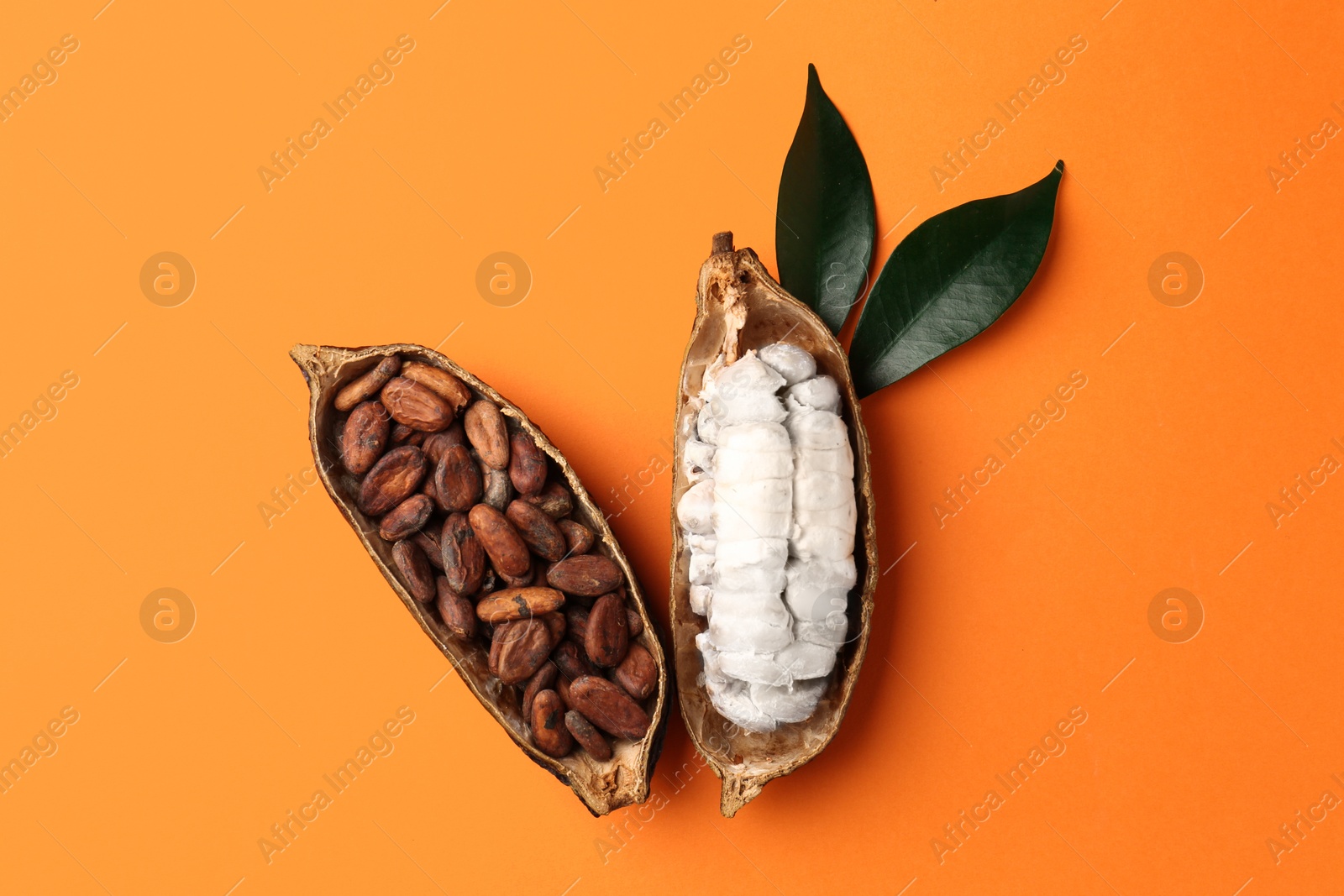 Cocoa pods with beans on orange background, top view Photo of Cocoa pods with beans on orange background, top view