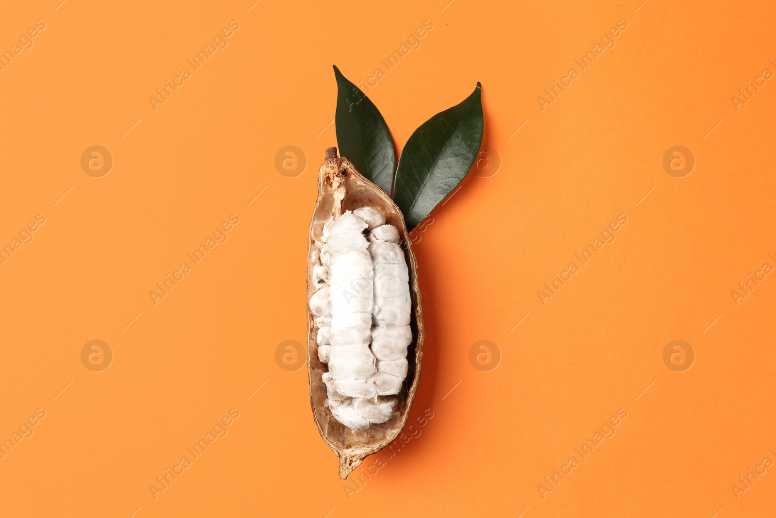 Cocoa pod with beans on orange background, top view Photo of Cocoa pod with beans on orange background, top view