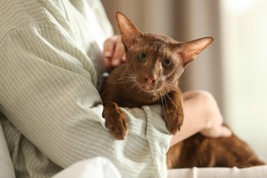 Photo of Woman with cute Oriental Shorthair cat at home, closeup. Adorable pet