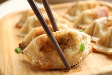 Photo of Eating fried gyoza dumplings at table, closeup