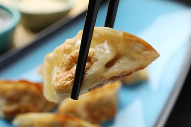 Photo of Eating fried gyoza dumplings at table, closeup