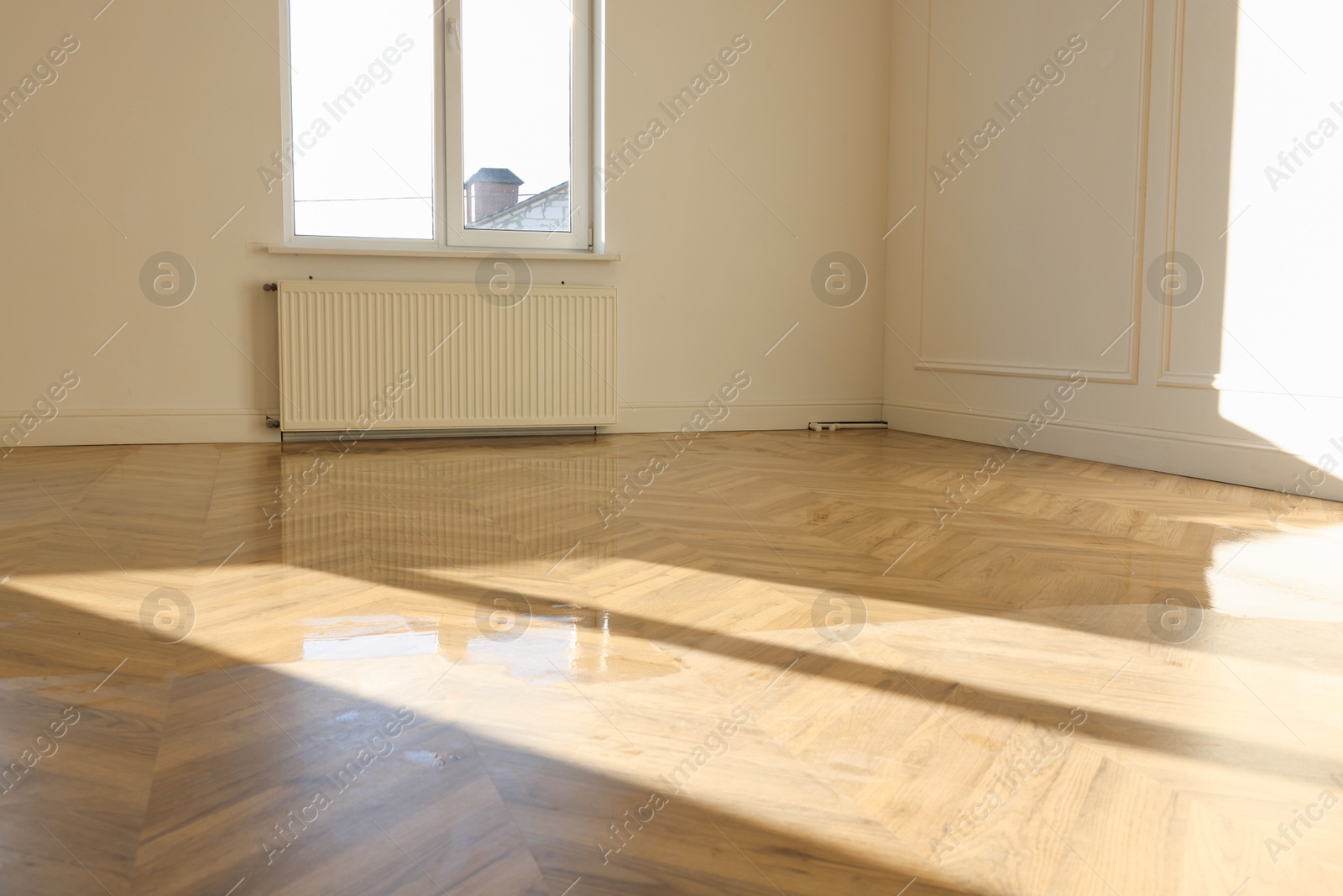 Photo of Process of polishing. Parquet covered with varnish indoors