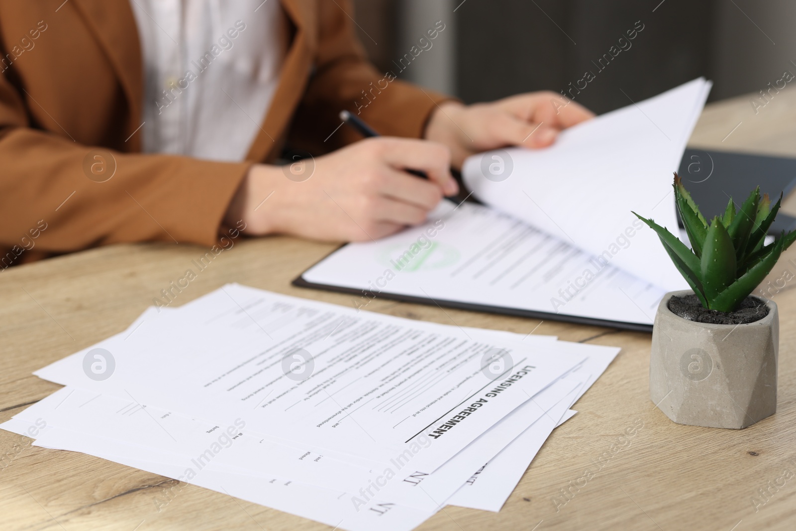 Photo of Woman signing licensing agreement document at wooden table indoors, selective focus