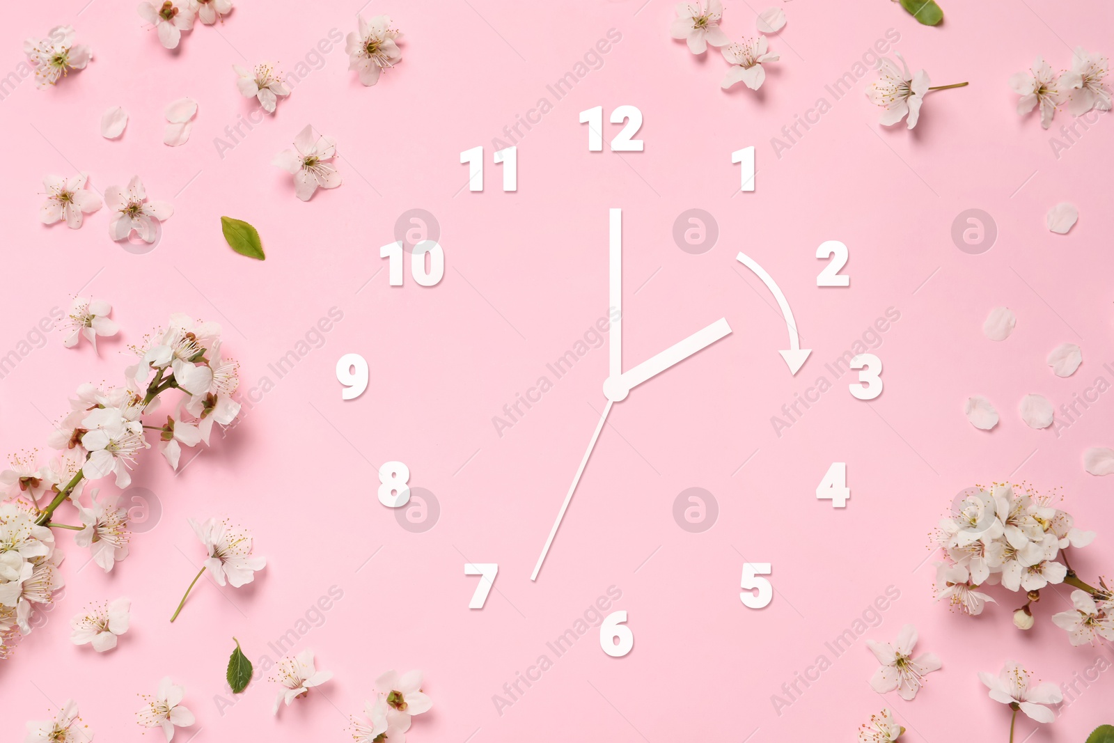 Image of Clock and flowers on pink background, top view. Arrow showing time change one hour ahead in spring. Daylight saving time