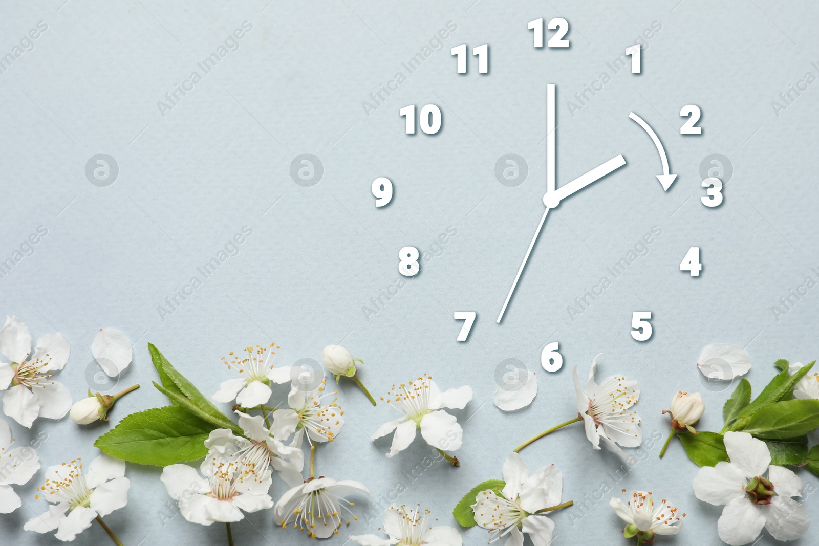 Image of Clock and flowers on grey background, top view. Arrow showing time change one hour ahead in spring. Daylight saving time