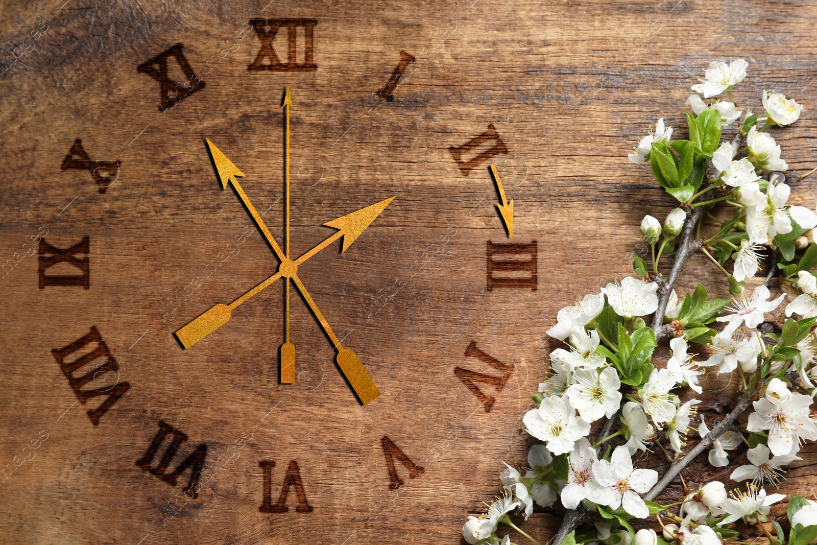 Image of Clock and blossoming branch with white flowers on wooden background, top view. Arrow showing time change one hour ahead in spring. Daylight saving time