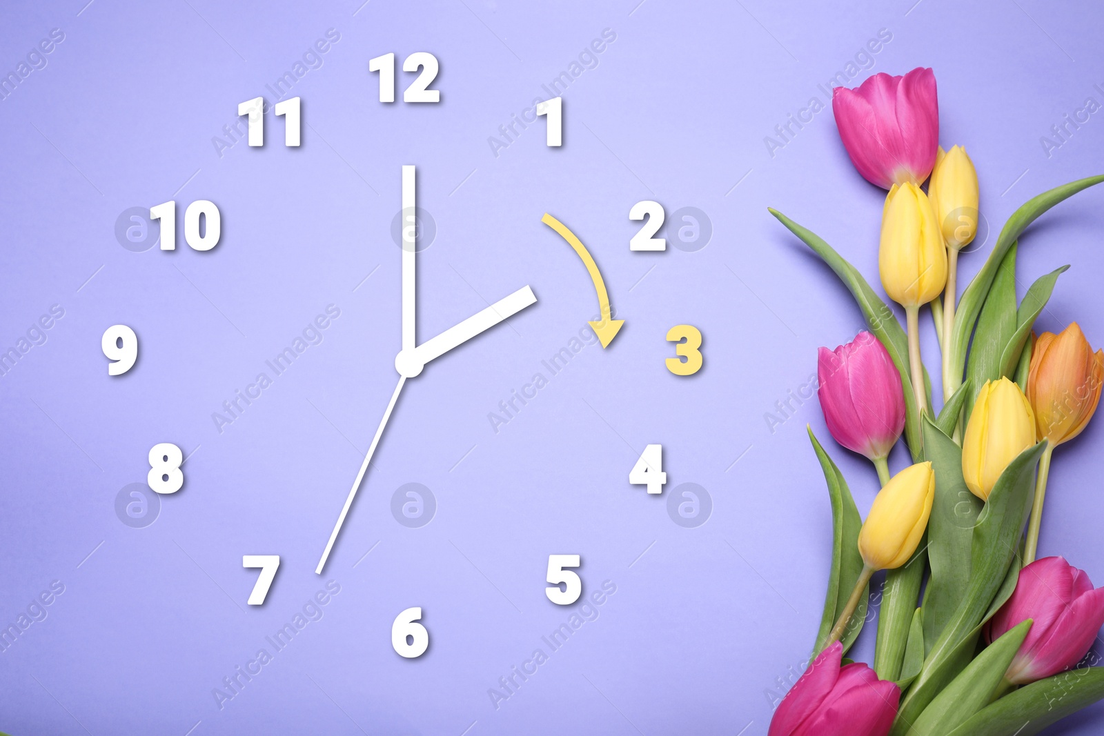 Image of Clock and flowers on violet blue background, top view. Arrow showing time change one hour ahead in spring. Daylight saving time