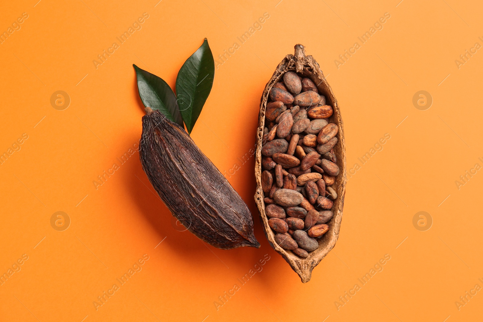 Cocoa pods with beans on orange background, top view Photo of Cocoa pods with beans on orange background, top view