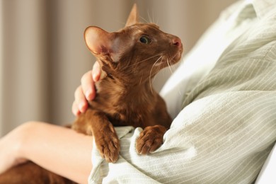 Photo of Woman with cute Oriental Shorthair cat at home, closeup. Adorable pet