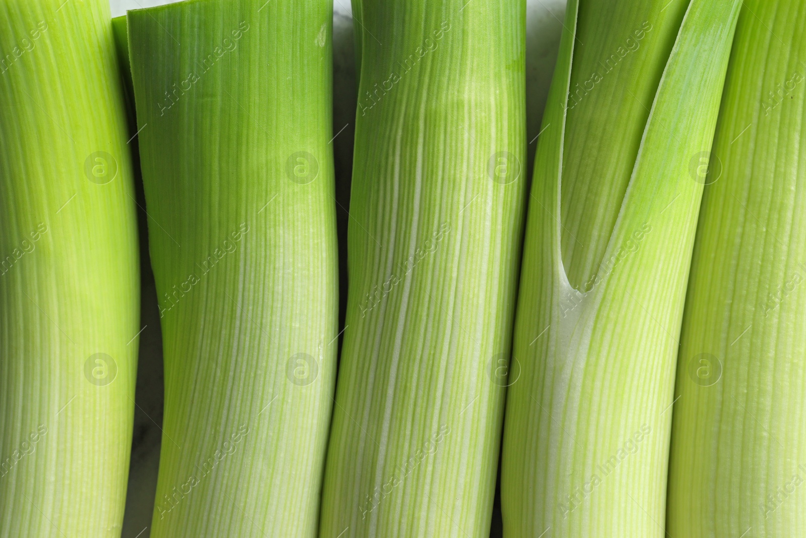 Photo of Whole fresh leeks as background, top view