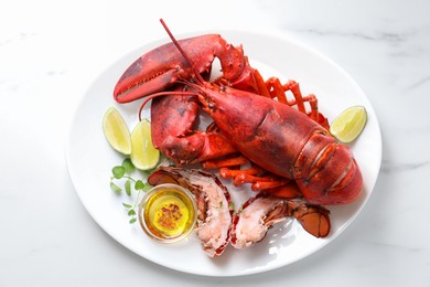 Delicious boiled lobster served on marble table, top view