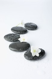 Photo of Wet spa stones and beautiful flowers on white background, closeup