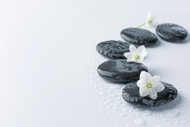 Photo of Wet spa stones and beautiful flowers on white background, closeup. Space for text