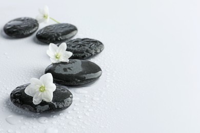 Photo of Wet spa stones and beautiful flowers on white background, closeup. Space for text