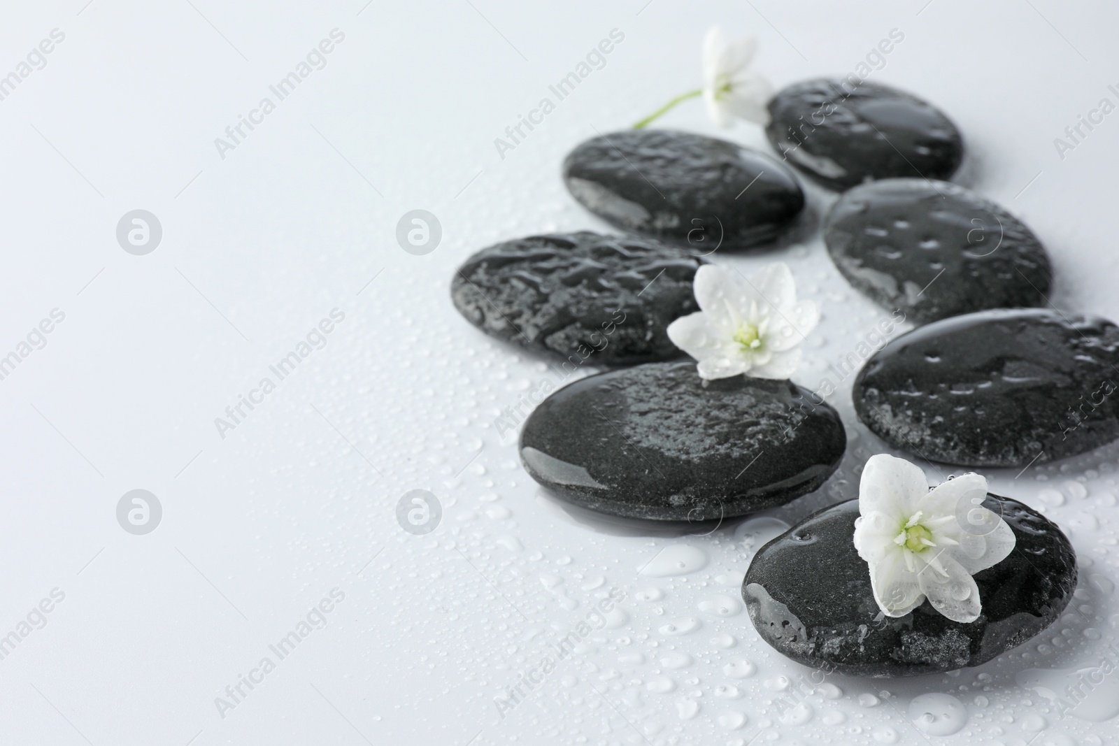 Photo of Wet spa stones and beautiful flowers on white background, closeup. Space for text