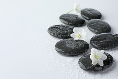 Photo of Wet spa stones and beautiful flowers on white background, closeup. Space for text