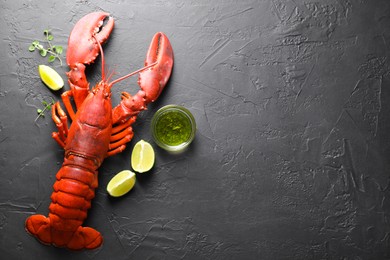 Delicious boiled lobster with lime pieces, oil and microgreens on black table, flat lay. Space for text