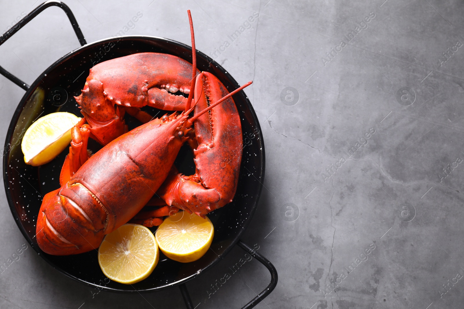 Photo of Delicious boiled lobster with lemon pieces on grey table, top view. Space for text