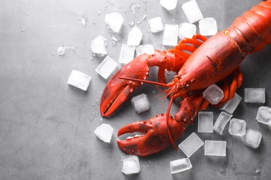 Photo of Delicious boiled lobster with ice cubes on grey table, flat lay