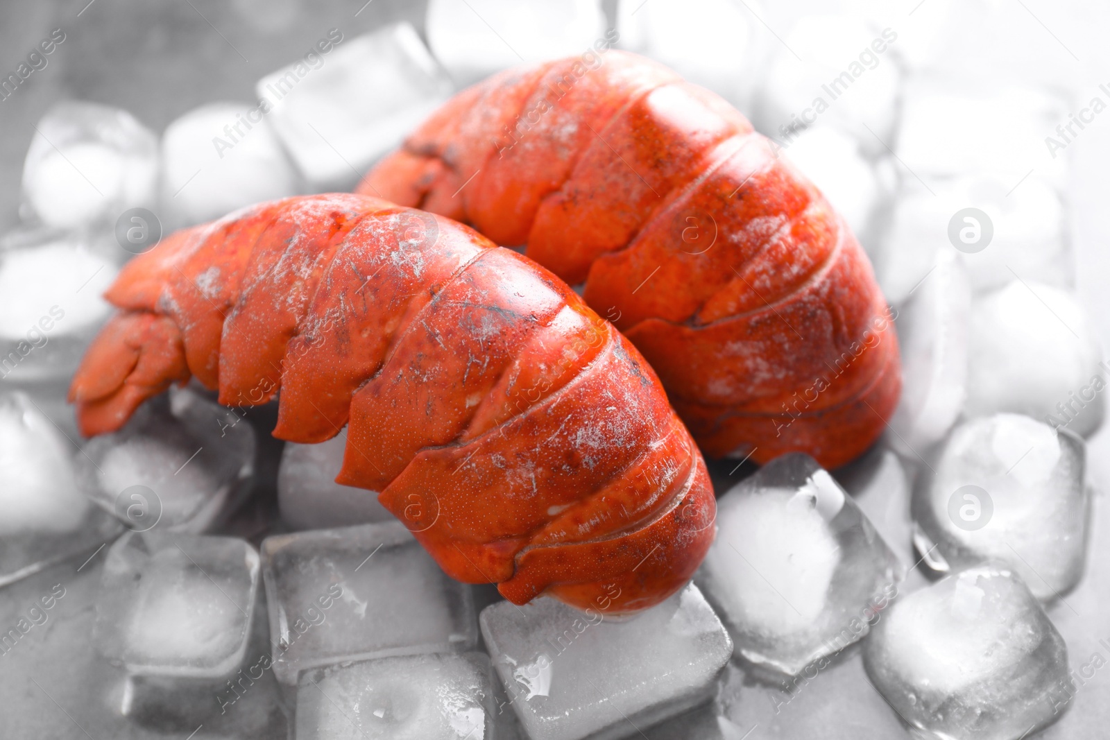 Photo of Tails of boiled lobsters with ice cubes on grey table, closeup