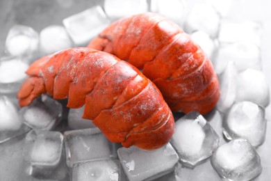 Tails of boiled lobsters with ice cubes on grey table, closeup