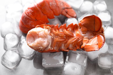 Photo of Tails of boiled lobsters with ice cubes on grey table, closeup