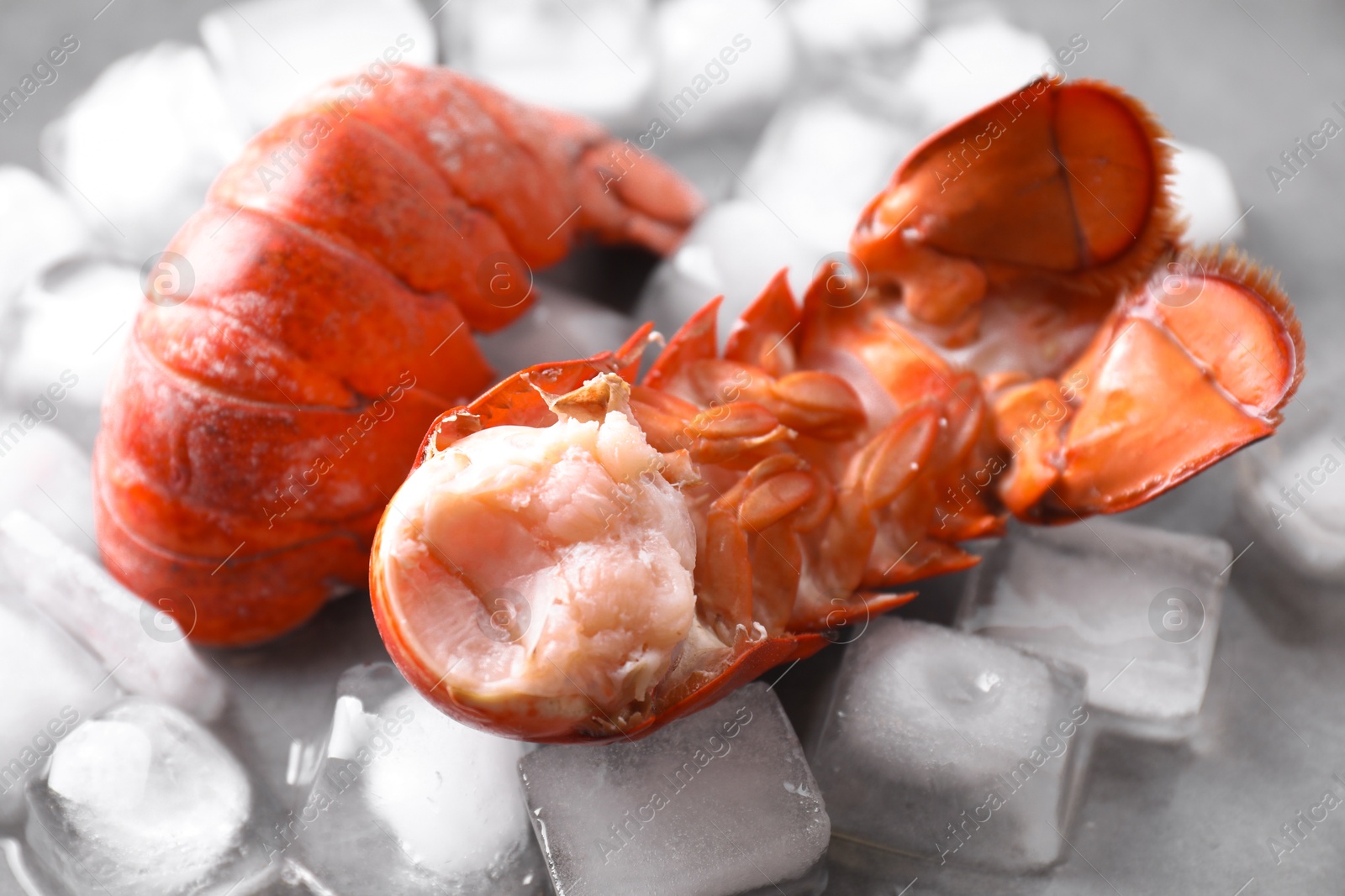 Photo of Tails of boiled lobsters with ice cubes on grey table, closeup