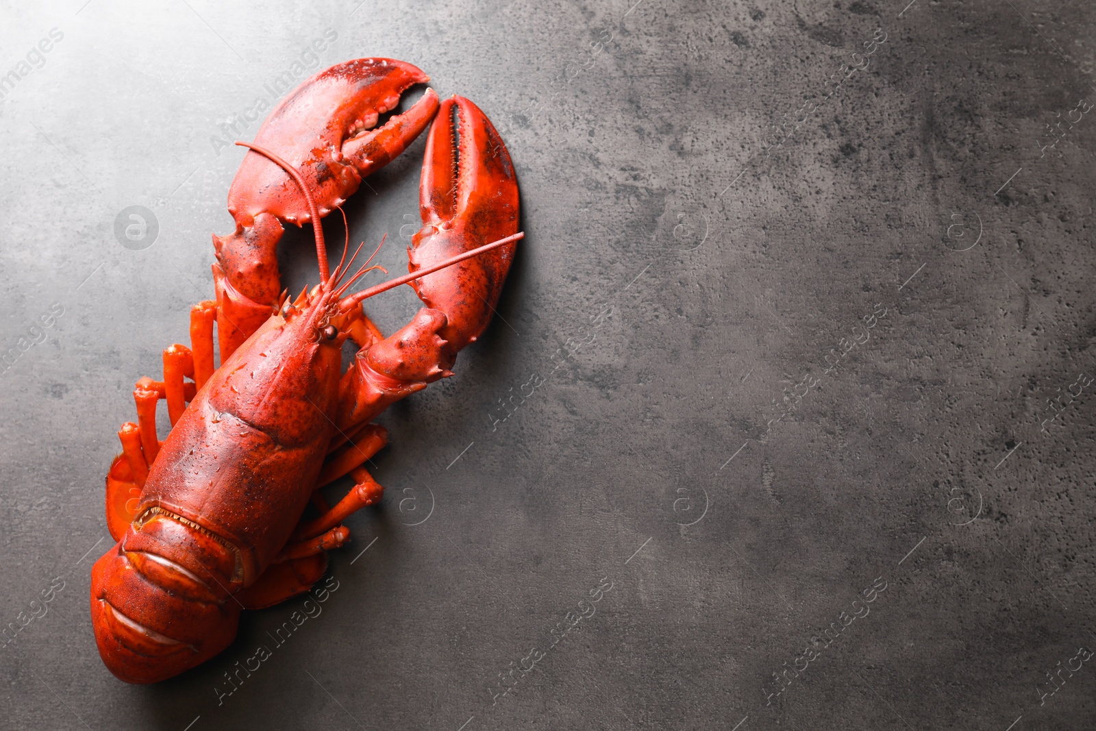 Photo of Delicious boiled lobster on grey table, top view. Space for text