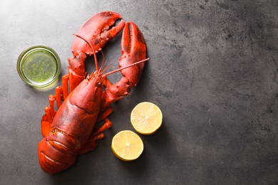 Delicious boiled lobster with oil and lemon pieces on grey table, top view. Space for text