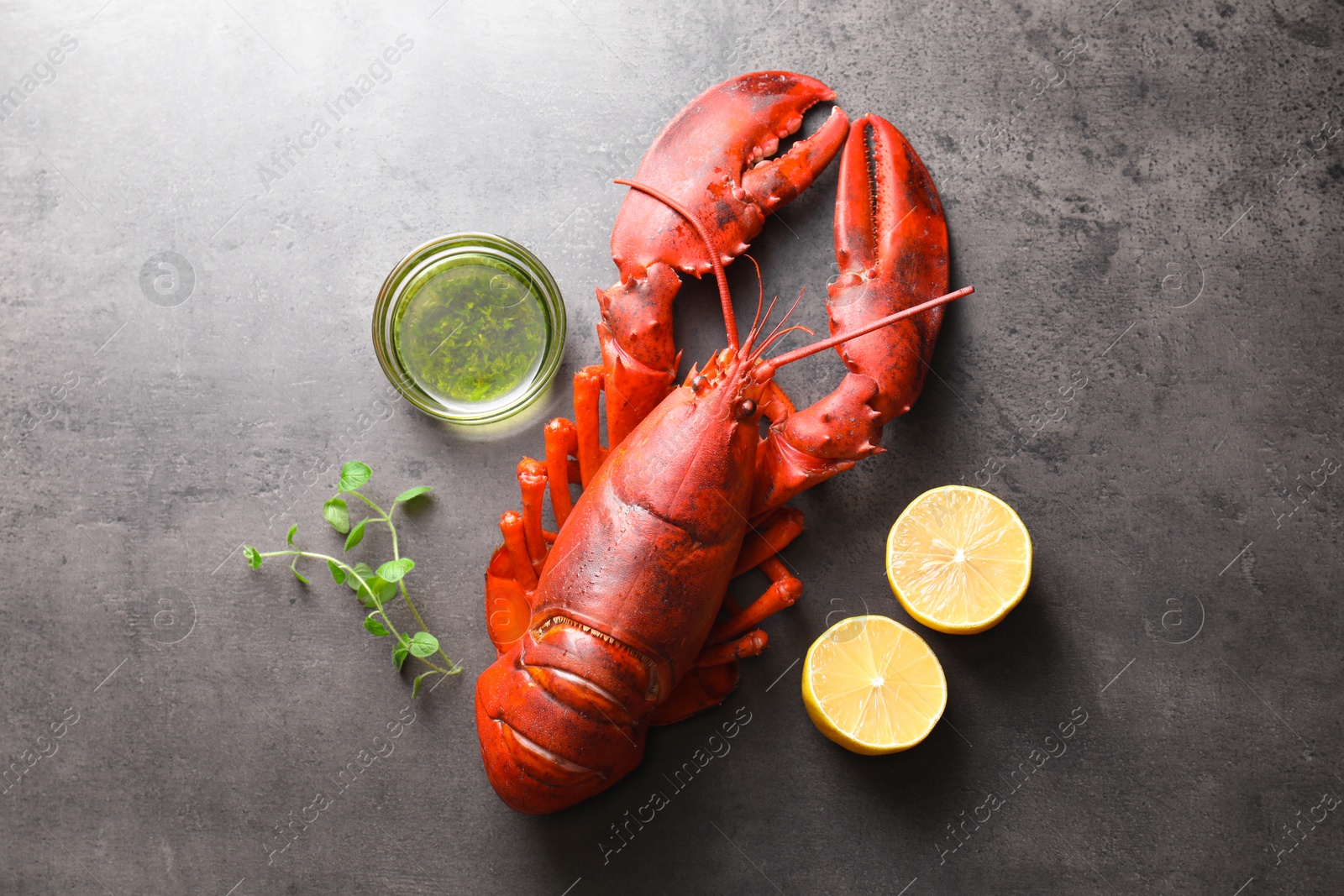 Photo of Delicious boiled lobster with oil, microgreens and lemon pieces on grey table, top view