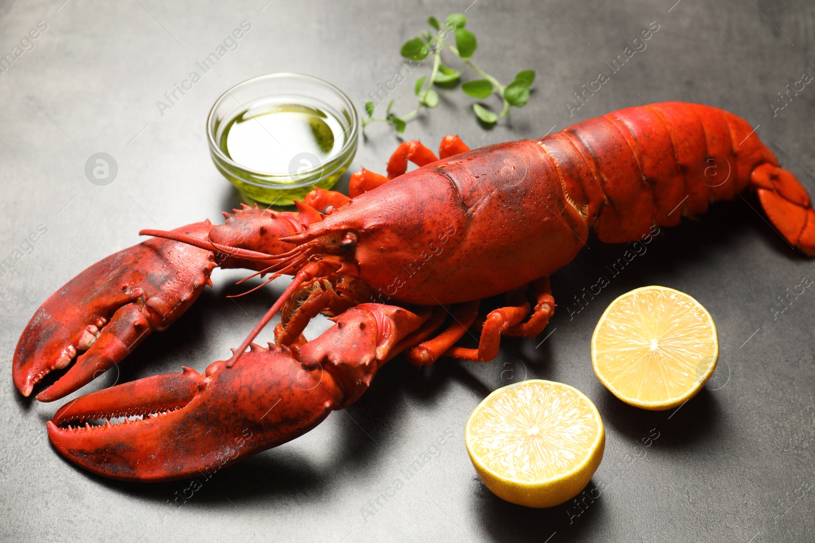 Photo of Delicious boiled lobster with oil, microgreens and lemon pieces on grey table, closeup