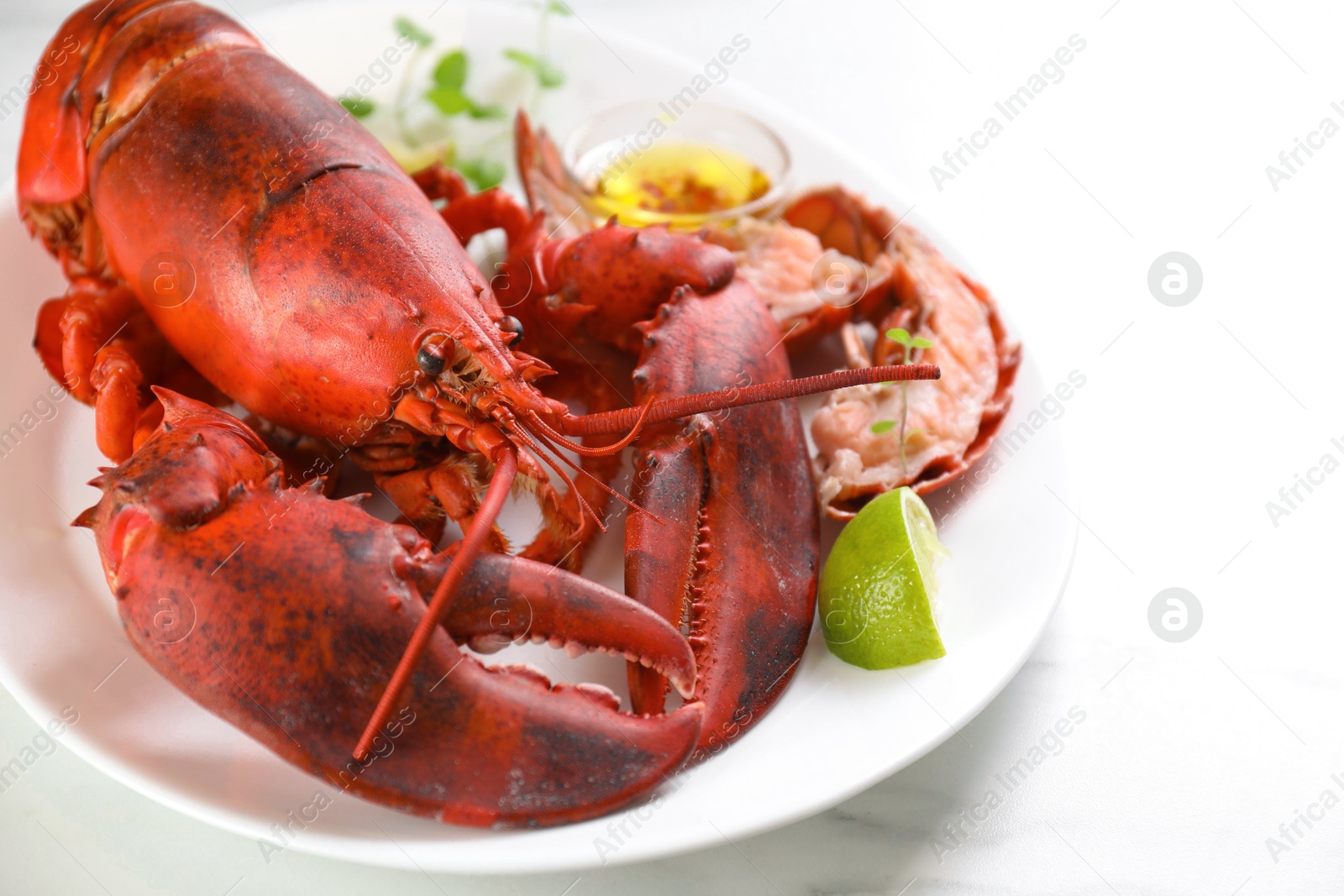 Photo of Delicious boiled lobster served on white table, closeup