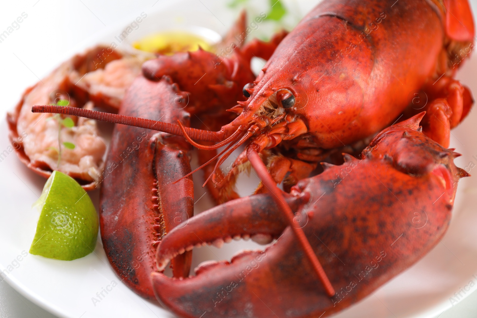 Photo of Delicious boiled lobster served on white table, closeup