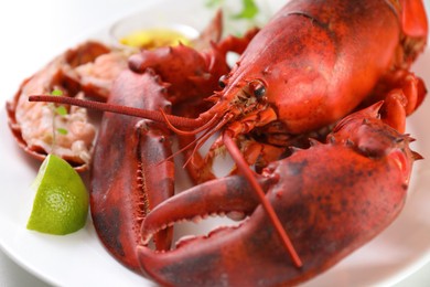 Photo of Delicious boiled lobster served on white table, closeup