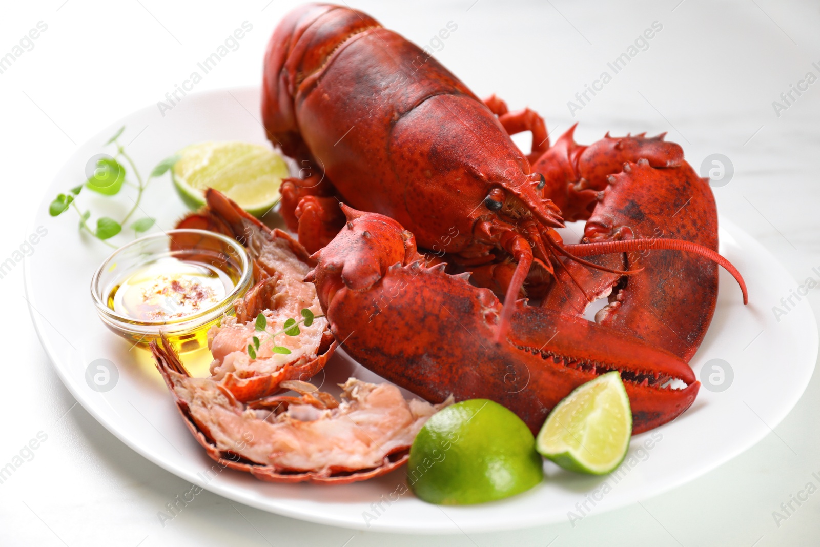 Photo of Delicious boiled lobster served on white table, closeup