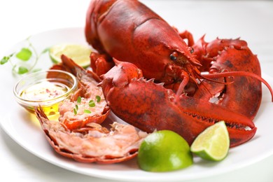 Photo of Delicious boiled lobster served on white table, closeup