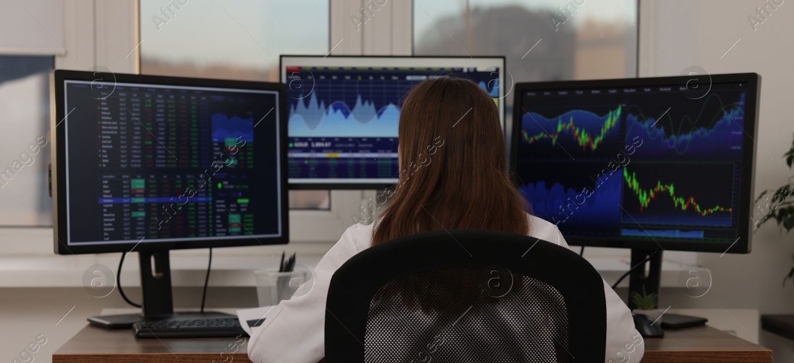 Photo of Stock exchange. Woman working at desk in office, back view