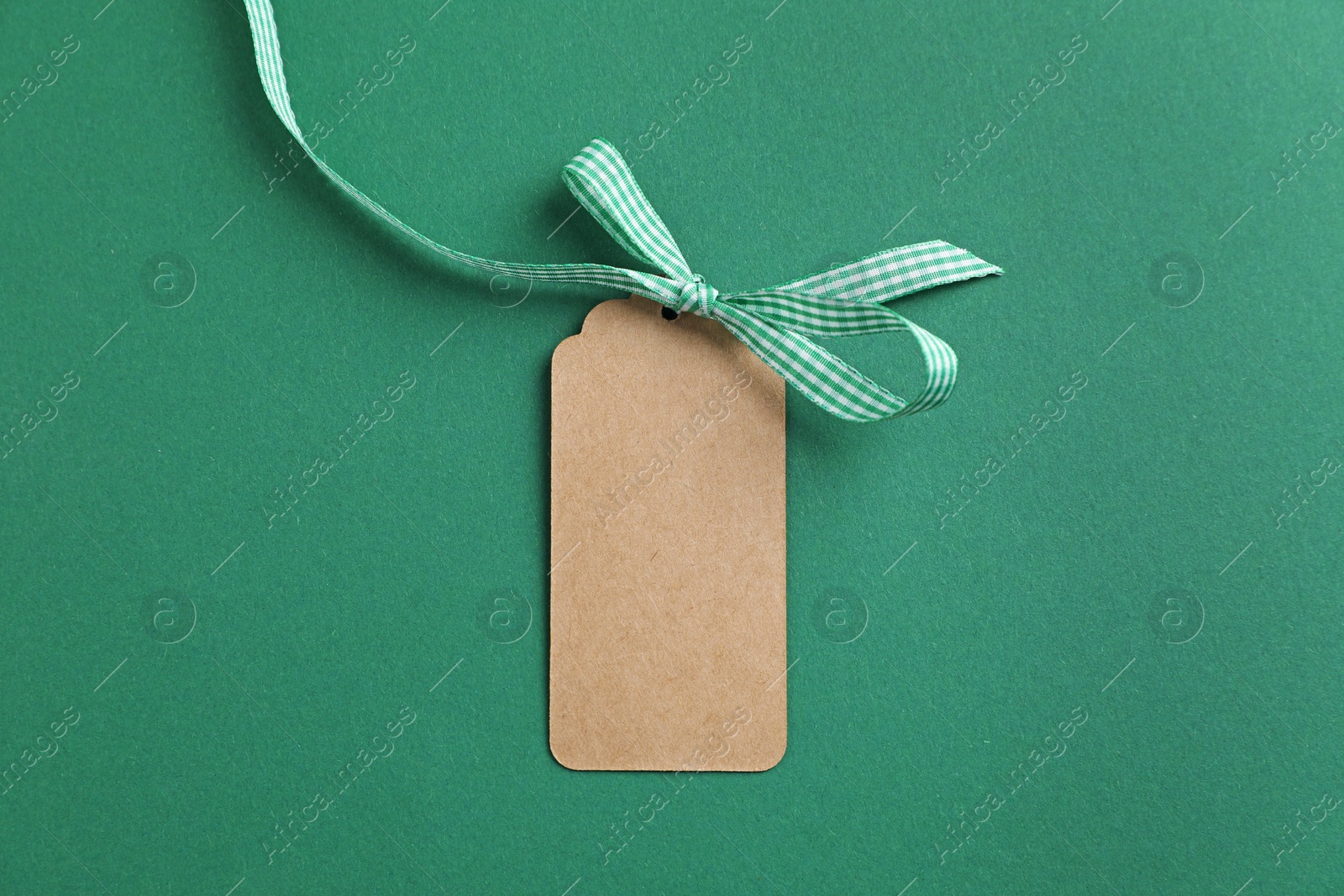 Blank tag with ribbon bow on green background, top view Photo of Blank tag with ribbon bow on green background, top view